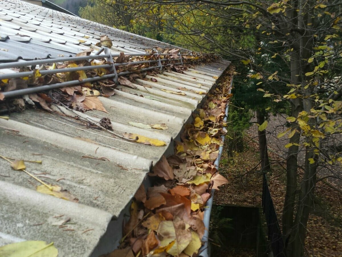 Gouttière avec beaucoup de feuilles mortes, nettoyer les gouttières bouchées