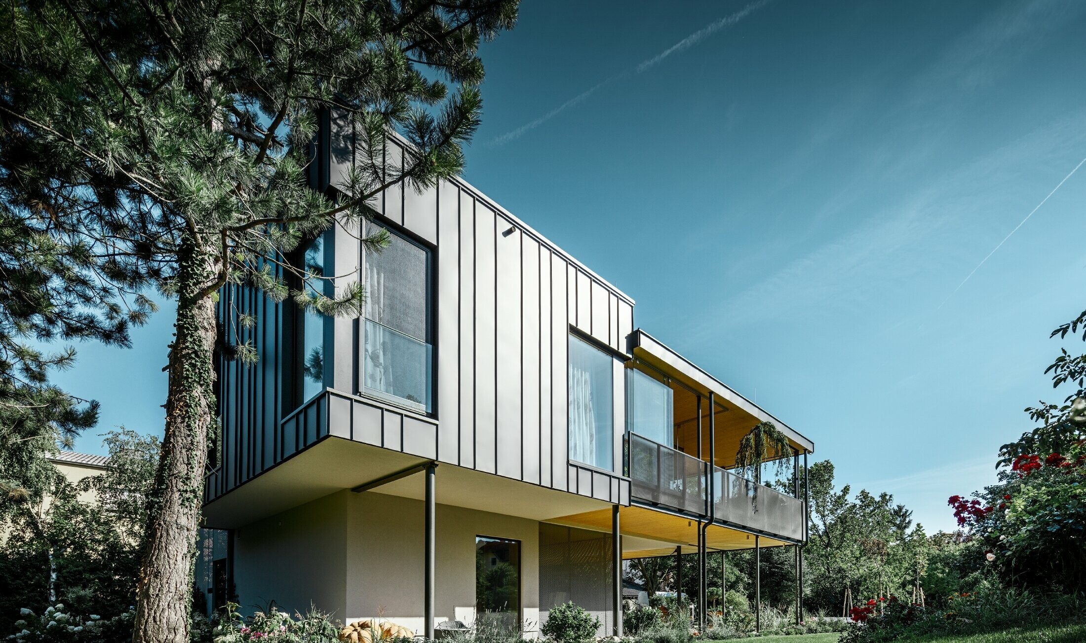 Maison individuelle moderne à l’esthétique arboricole au cœur d’un grand jardin planté de nombreux arbres — Façade PREFA dépouillée à joints angulaires de couleur gris noir